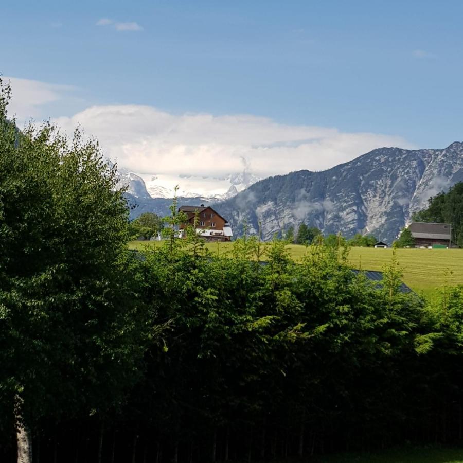 Apartment Dachsteinblick Bad Aussee Exterior photo